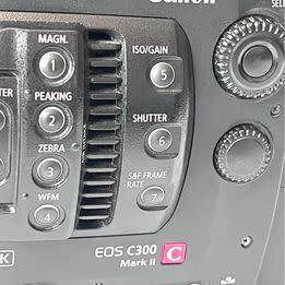 Canon C300 MK 2 PL/EF