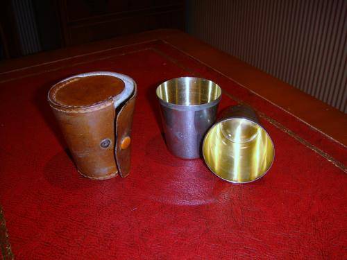 Two Beakers in Leather Case