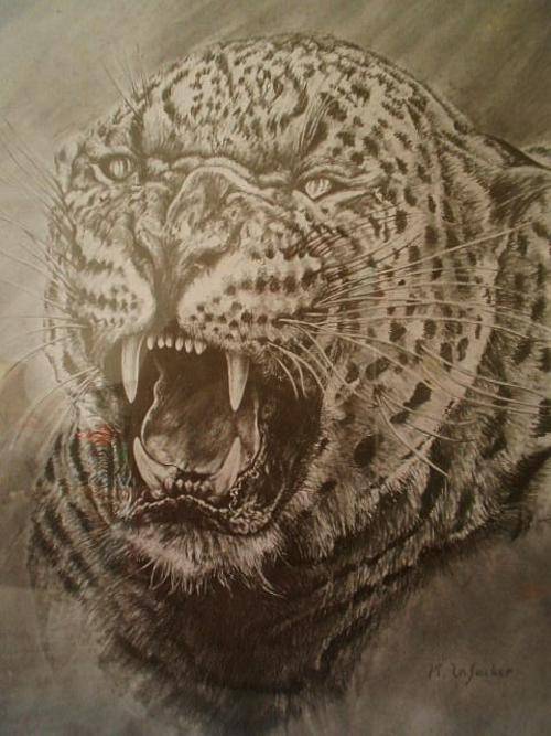 PENCIL DRAWING OF ADMONISH LEOPARD BY K. LA SUCKER