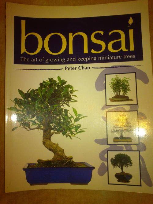 Bonsai: The Art of Growing and Keeping Miniature Trees - Peter Chan