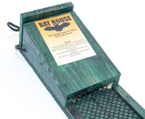 Outdoor Bat House