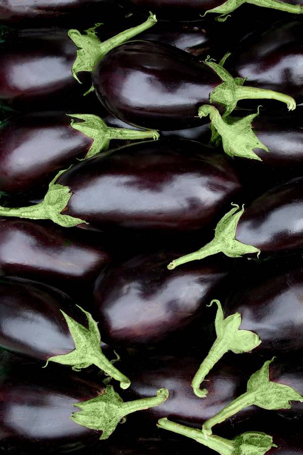 FLORIDA MARKET EGGPLANT SEEDS  100 - 125 SEEDS 0.5g