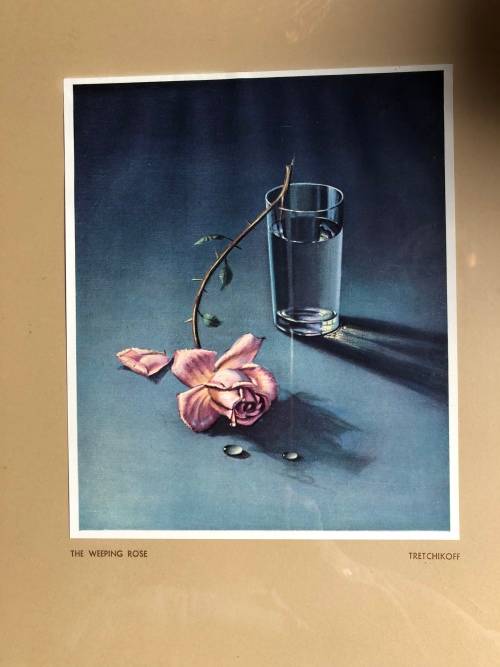 TRETCHIKOFF WEEPING ROSE vintage print