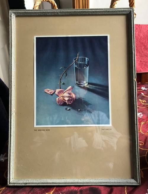 TRETCHIKOFF WEEPING ROSE vintage print