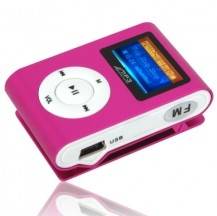 2GB LCD Screen Aluminium Metal Body MP3 Player With FM Function Enclosure With Clip