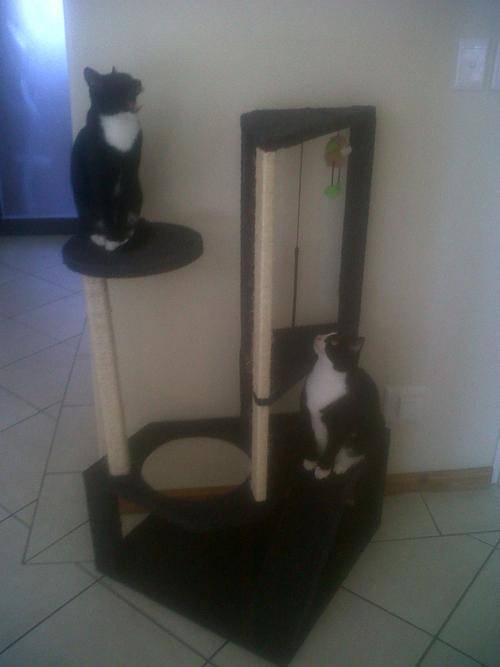 Save - The Cat That Has It All - Scratching Post, Cat Tree, Catnip, CatNipZ - 5 Storey Dual Towers