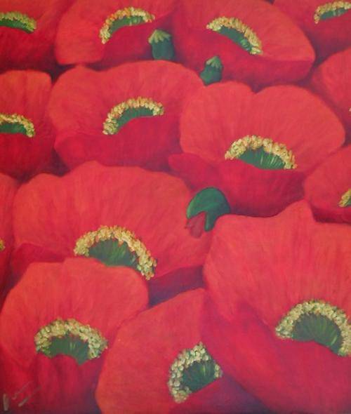 Massed Poppies4
