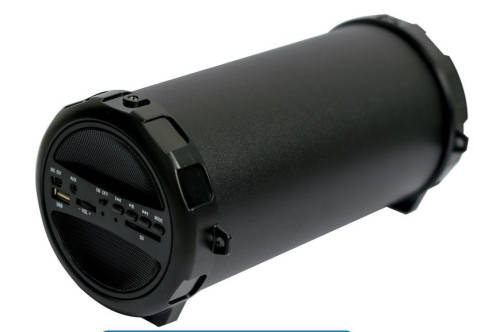 Nesty Wireless 10W Bluetooth Portable Speaker with FM Radio GR44