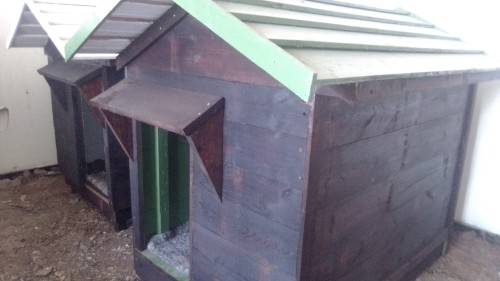 dog kennels for sale