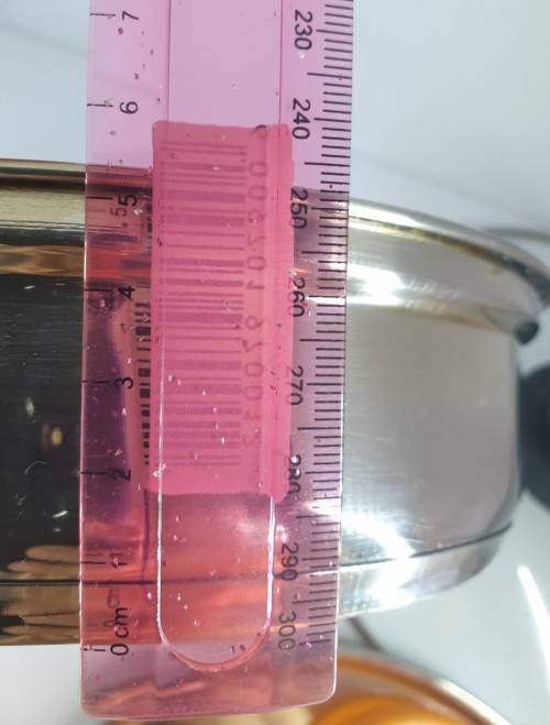 STAINLESS STEEL EGG POACHING PAN