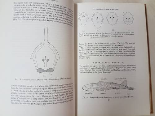 Palaeozoic Fishes - by J. A. Moy-Thomas Miles. "Dr J.W.A van Heerden's Museum Copy"