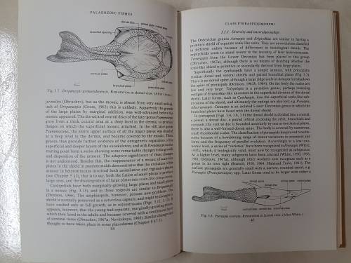 Palaeozoic Fishes - by J. A. Moy-Thomas Miles. "Dr J.W.A van Heerden's Museum Copy"