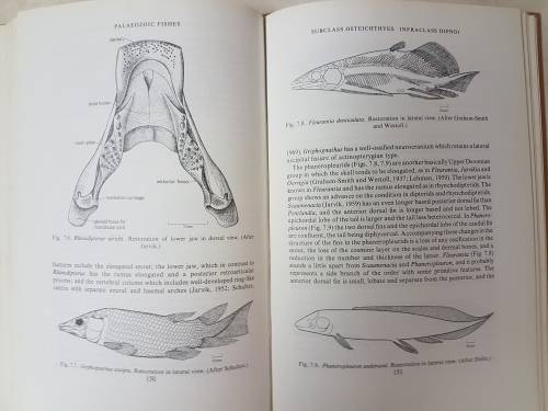 Palaeozoic Fishes - by J. A. Moy-Thomas Miles. "Dr J.W.A van Heerden's Museum Copy"