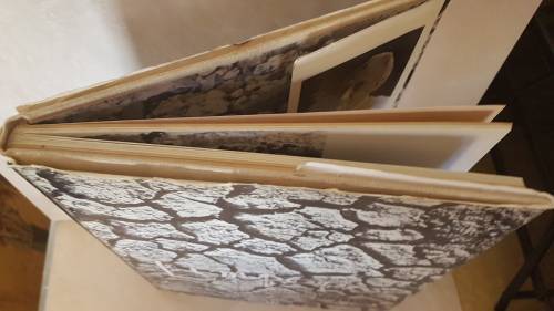 Limpopo by Walter Battiss. 1st Ed 1965.