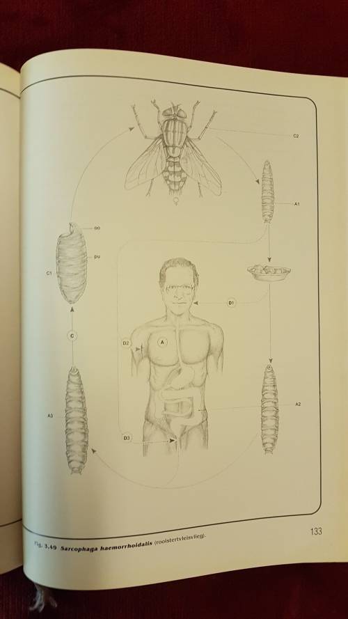 Medies belangrike PARASIETE DRAERS en GIFDIERE van Suider Afrika