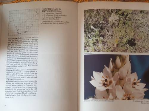 Gifplante van Suider Afrika - J. Vahrmeijer