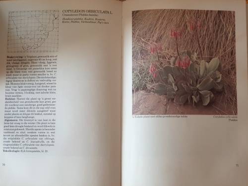 Gifplante van Suider Afrika - J. Vahrmeijer