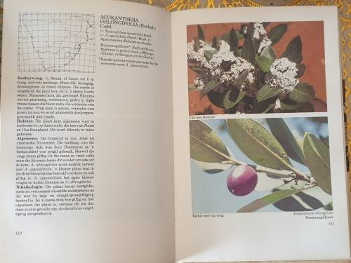 Gifplante van Suider Afrika - J. Vahrmeijer