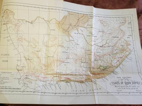 The Forest and Forest Flora of Cape Colony - Thomas R. Sim