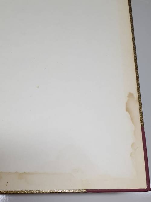 The Forest and Forest Flora of Cape Colony - Thomas R. Sim