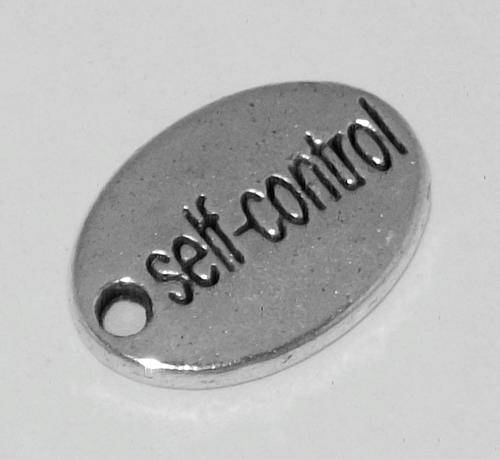 **SALE** Antique Silver Oval "Self-control" Double-sided Message Charm - 1pc