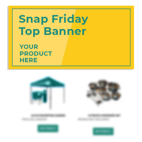 Snap Friday Banner