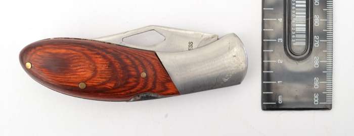 Stainless Steel Knife with wood handle as per photo