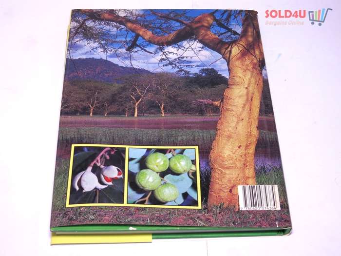 Everyone`s Guide to Trees of South Africa  by Keith Coates Palgrave, Meg Palgrave, Paul Palgrave