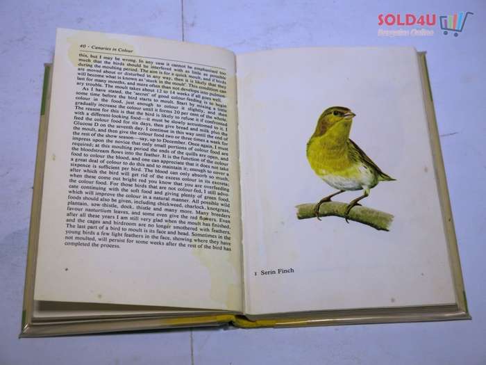 Canaries in Color: Lynch, George