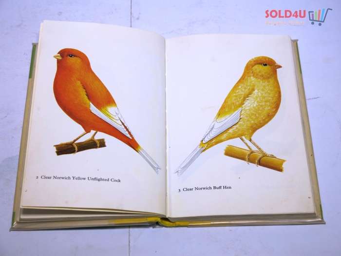 Canaries in Color: Lynch, George