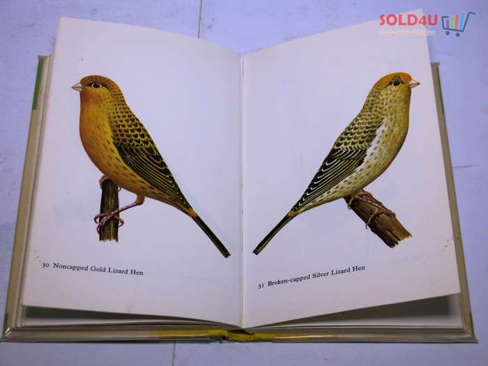 Canaries in Color: Lynch, George