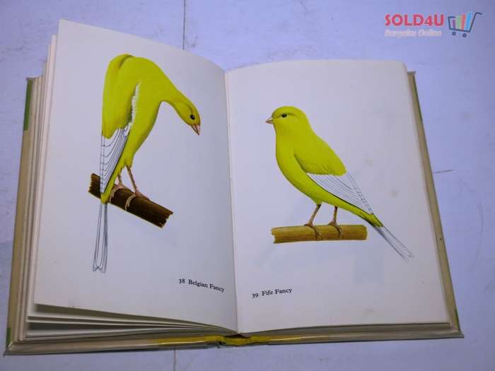 Canaries in Color: Lynch, George