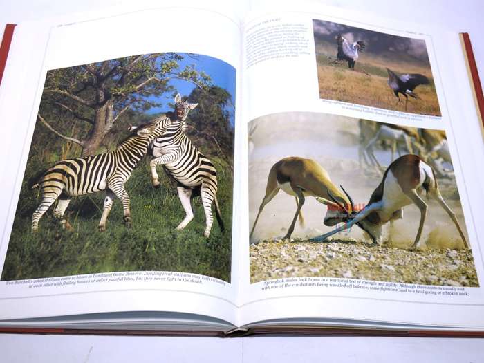 Southern Africa: Spectacular World of Wildlife by Reader`s Digest