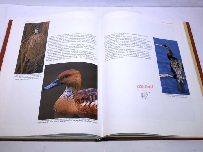 Southern Africa: Spectacular World of Wildlife by Reader`s Digest