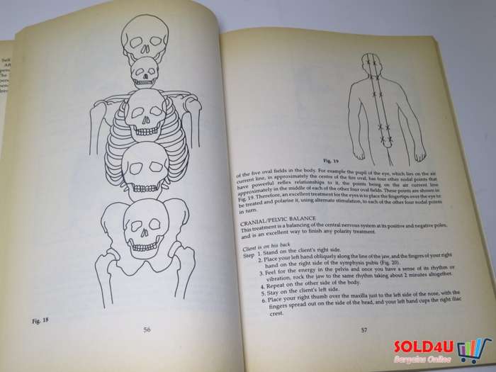 The Art of Polarity Therapy - Phil Young