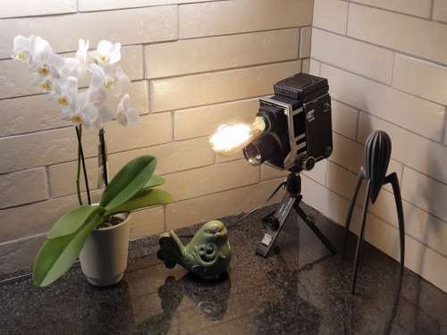 Gorgeous Vintage Mamiyaflex Lamp with Vintage Style Globe and Small Tripod Stand **Very Unique**
