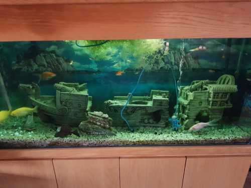 Large fish tank with wooden cabinet stand - Complete and in working order