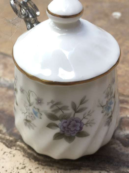 Minton fine bone china ,Alpine springs salt holder with a mustard spoon