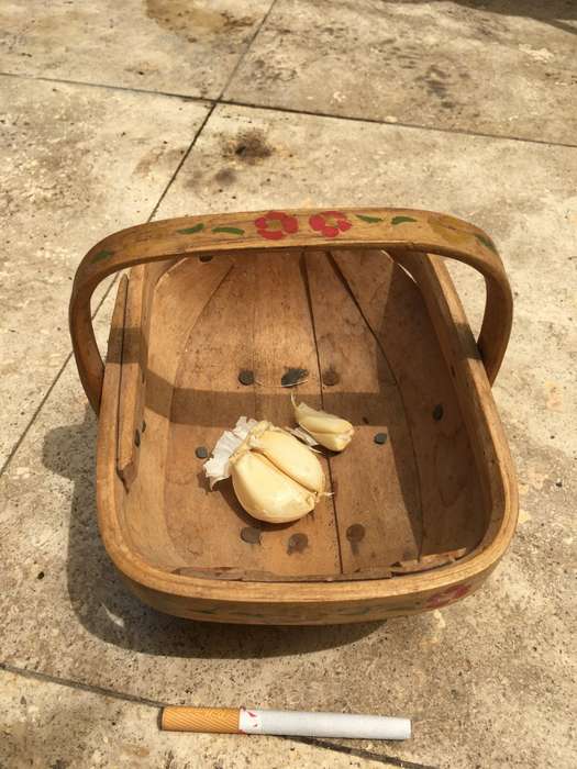 vintage Sussex Trug gathering basket with floral paint detail
