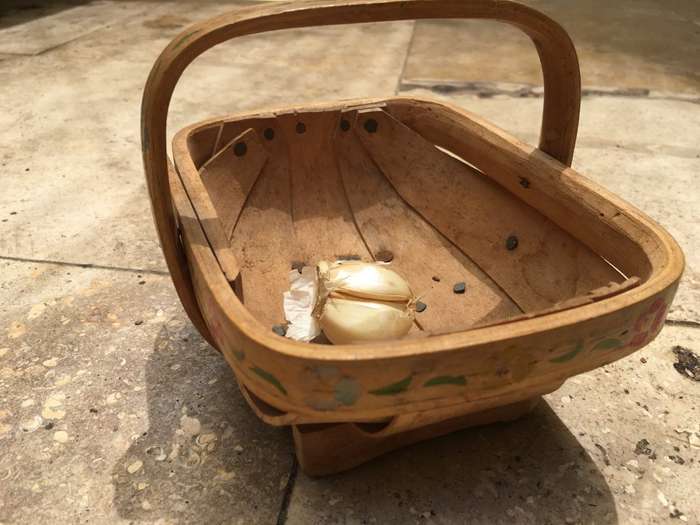 vintage Sussex Trug gathering basket with floral paint detail