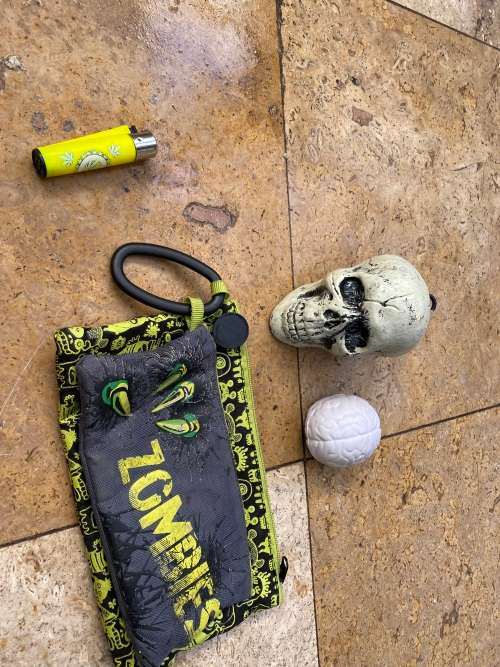 pvc skull rubber brain with Zombie Zombies pencil case set