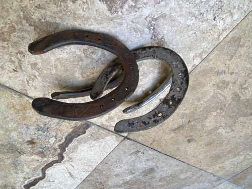 vintage horse shoe horseshoe coat hook pair rustic
