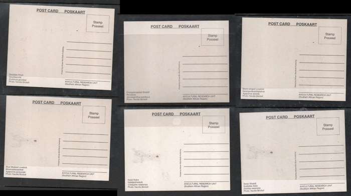 South Africa, Aviculture Reasearch Unit, 6 unused post cards