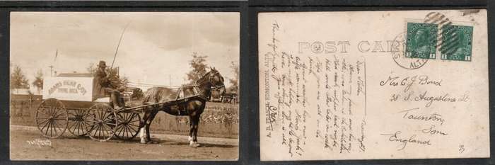 Canada Edmonton, ADAMS MEAT COY, wagon & driver, photo, used 2c > England