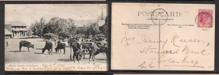 South Africa, Market Square Oudtshoorn, used > COLESBURG 1904