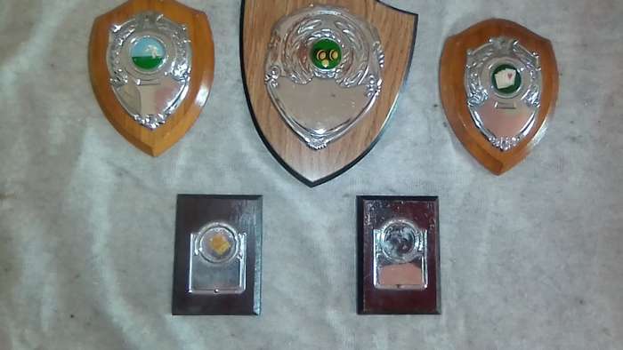 5 small sports trophies, plaques