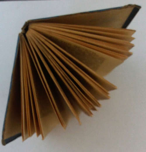 1926 Pocket Edition `The Cricket On The Hearth` by Charles Dickens - A Fairy Tale of Home
