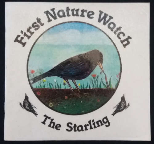 First Nature Watch x 6 books and Watching books - Dolphin