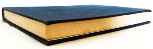 Death at Chappaquiddick by Richard L. Tedrow and Thomas L. Tedrow (1976)