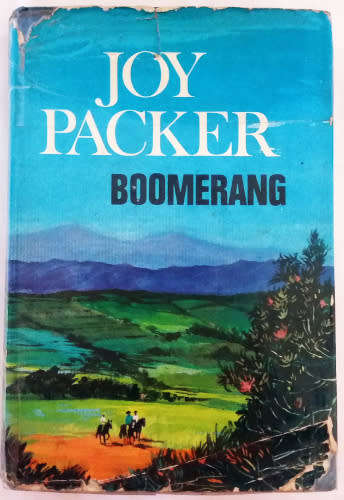 Fiction Novels - bundle of 10 books